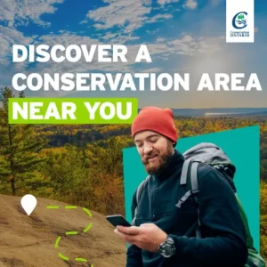 Discover a Conservation Area near you