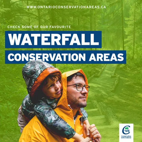 Check out some of our favorite Waterfall Conservation Areas